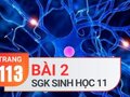 Câu 2 trang 113 SGK Sinh học 11