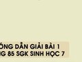 Hướng dẫn giải bài 1 trang 85 sgk Sinh học 7