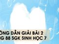 Hướng dẫn giải bài 2 trang 88 sgk Sinh học 7