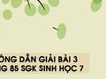 Hướng dẫn giải bài 3  trang 85 sgk Sinh học 7