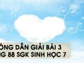 Hướng dẫn giải bài 3 trang 88 sgk Sinh học 7