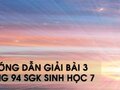 Hướng dẫn giải bài 3 trang 94 sgk Sinh học 7