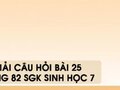 Hướng dẫn trả lời câu hỏi bài 25 trang 82 sgk Sinh học 7