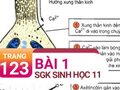 Câu 1 trang 123 SGK Sinh học 11