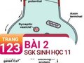 Câu 2 trang 123 SGK Sinh học 11
