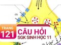 Câu hỏi thảo luận trang 121 SGK Sinh học 11