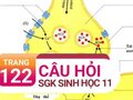 Câu hỏi thảo luận trang 122 SGK Sinh học 11