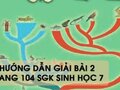 Hướng dẫn giải bài 2 trang 104 sgk Sinh học 7
