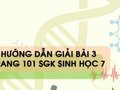 Hướng dẫn giải bài 3 trang 101 sgk Sinh học 7