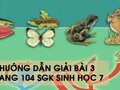 Hướng dẫn giải bài 3 trang 104 sgk Sinh học 7