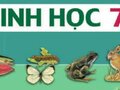 Hướng dẫn giải bài 4 trang 104 sgk Sinh học 7