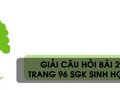 Câu hỏi bài 29 trang 96 sgk Sinh học 7