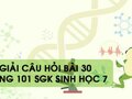 Hướng dẫn trả lời câu hỏi bài 30 trang 101 sgk Sinh học 7