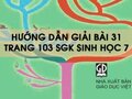 Hướng dẫn trả lời câu hỏi bài 31 trang 103 sgk Sinh học 7
