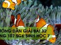 Hướng dẫn trả lời câu hỏi bài 32 trang 107 sgk Sinh học 7