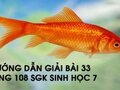 Câu hỏi thảo luận bài 33 trang 108 sgk Sinh học 7