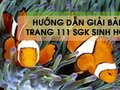 Hướng dẫn trả lời câu hỏi bài 34 trang 111 sgk Sinh học 7