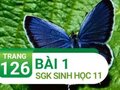 Câu 1 trang 126 SGK Sinh học 11