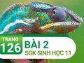 Câu 2 trang 126 SGK Sinh học 11
