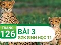 Câu 3 trang 126 SGK Sinh học 11