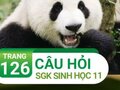 Câu hỏi thảo luận trang 126 SGK Sinh học 11