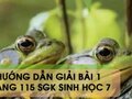 Hướng dẫn giải bài 1 trang 115 sgk Sinh học 7