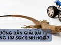 Hướng dẫn giải bài 1 trang 133 sgk Sinh học 7