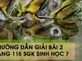 Hướng dẫn giải bài 2 trang 115 sgk Sinh học 7