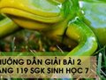 Hướng dẫn giải bài 2 trang 119 sgk Sinh học 7