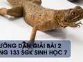 Hướng dẫn giải bài 2 trang 133 sgk Sinh học 7