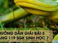 Hướng dẫn giải bài 3 trang 119 sgk Sinh học 7