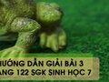 Hướng dẫn giải bài 3 trang 122 sgk Sinh học 7