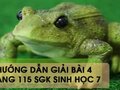 Hướng dẫn giải bài 4 trang 115 sgk Sinh học 7