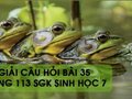Hướng dẫn trả lời câu hỏi bài 35 trang 113 sgk Sinh học 7