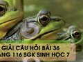 Hướng dẫn trả lời câu hỏi bài 36 trang 116 sgk Sinh học 7