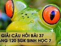 Hướng dẫn trả lời câu hỏi bài 37 trang 120 sgk Sinh học 7