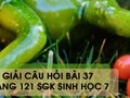 Hướng dẫn trả lời câu hỏi bài 37 trang 121 sgk Sinh học 7