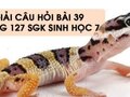 Hướng dẫn trả lời câu hỏi bài 39 trang 127 sgk Sinh học 7