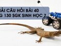 Hướng dẫn trả lời câu hỏi bài 40 trang 130 sgk Sinh học 7