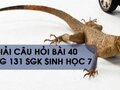 Hướng dẫn trả lời câu hỏi bài 40 trang 131 sgk Sinh học 7