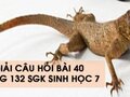 Hướng dẫn trả lời câu hỏi bài 40 trang 132 sgk Sinh học 7