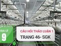 Trả lời câu hỏi thảo luận số 1 trang 46 sgk địa lý lớp 9