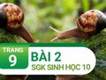 Bài 2 trang 9 SGK Sinh học 10