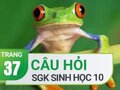 Đáp án câu hỏi thảo luận trang 37 SGK Sinh học 10