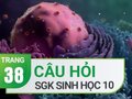 Đáp án câu hỏi thảo luận trang 38 SGK Sinh học 10