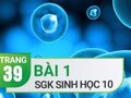 Giải bài 1 trang 39 SGK Sinh học 10