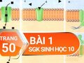 Giải bài 1 trang 50 SGK Sinh học 10