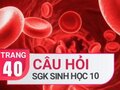 Câu hỏi thảo luận trang 40 SGK Sinh học 10