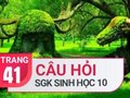 Câu hỏi thảo luận trang 41 SGK Sinh học 10