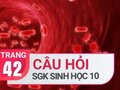 Câu hỏi thảo luận trang 42 SGK Sinh học 10